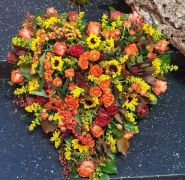 Blumenherz Internet 21