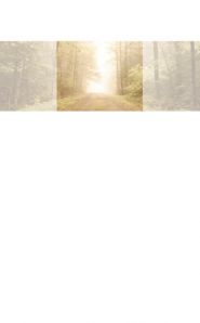 Waldweg.JPG